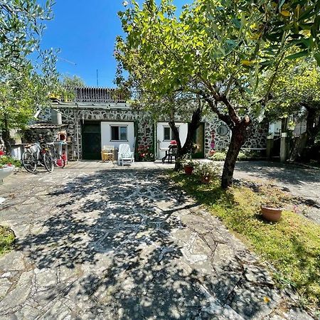 Rosy Apartment - Levanto, 5 Terre Exterior foto
