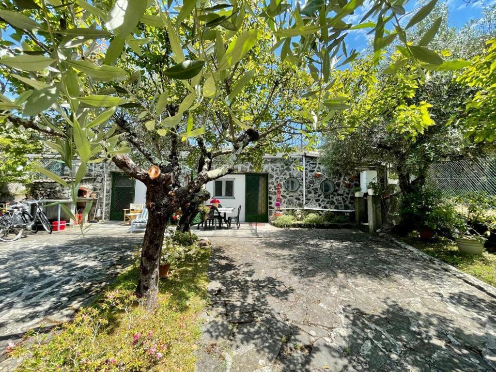 Rosy Apartment - Levanto, 5 Terre Exterior foto
